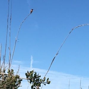 Meet your Posher, Judy